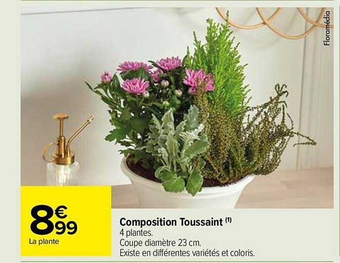 Composition Toussaint