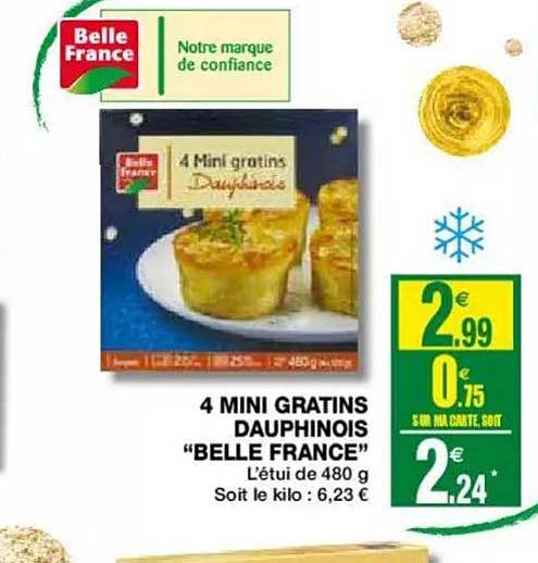 4 mini gratins dauphinois "belle france"