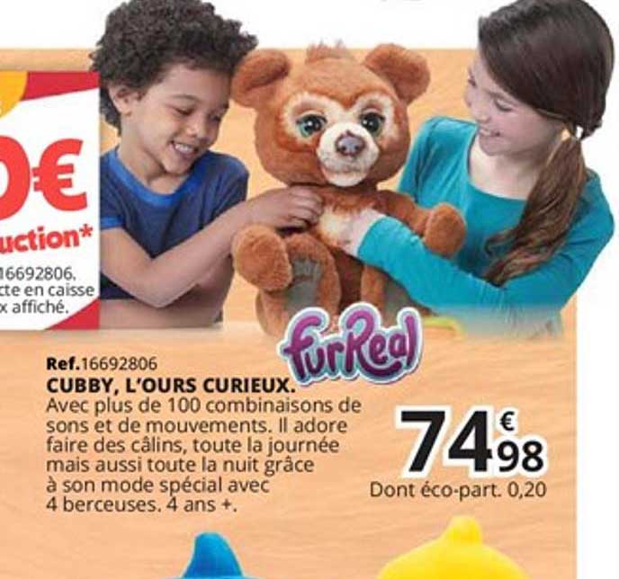 cubby, l'ours curieux