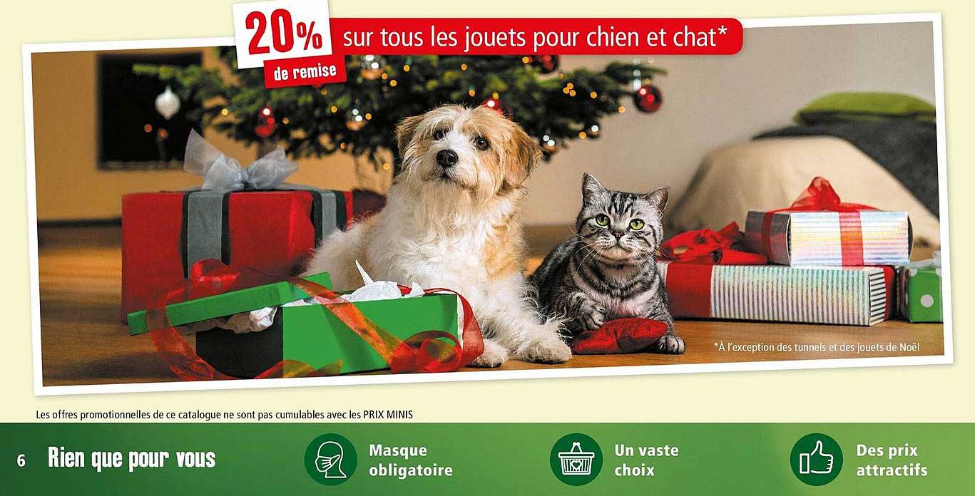 Jouets Pour Chien Et Chat