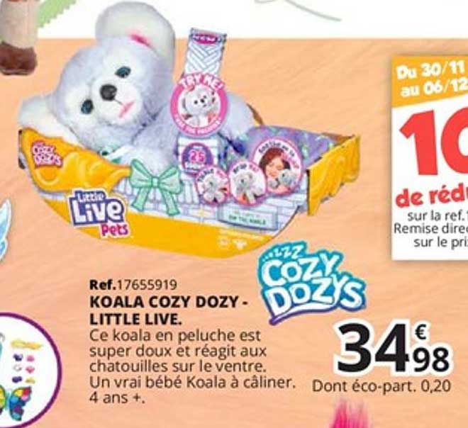 koala cozy dozy - little live