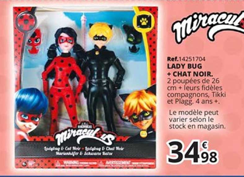 lady bug + chat noir