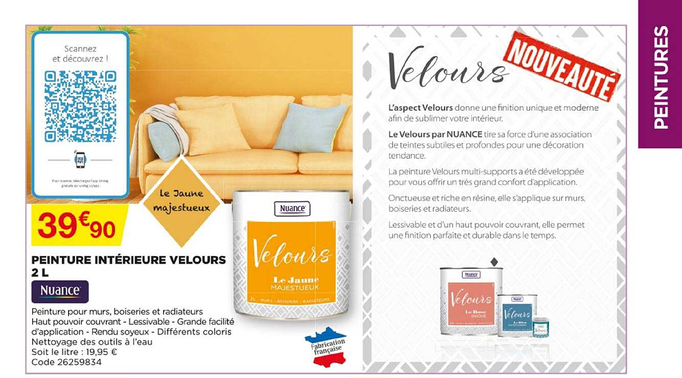 Peinture Intérieure Velours 2 L Nuance
