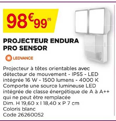 projecteur endura pro sensor