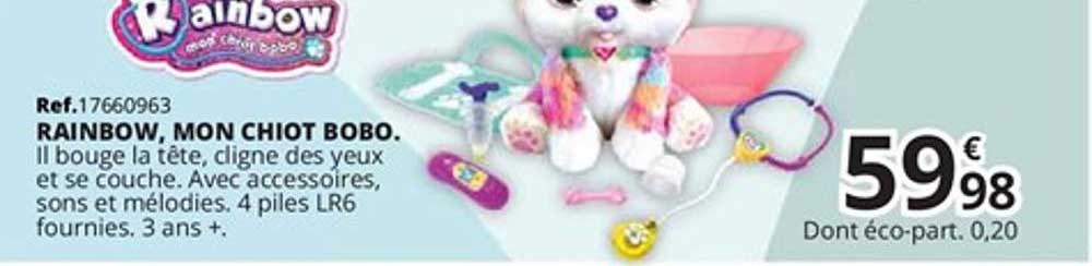 rainbow, mon chiot bobo