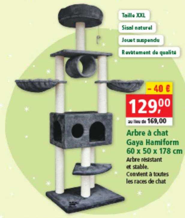 Arbre à Chat Gaya Hamiform 60 X 50 X 178 Cm