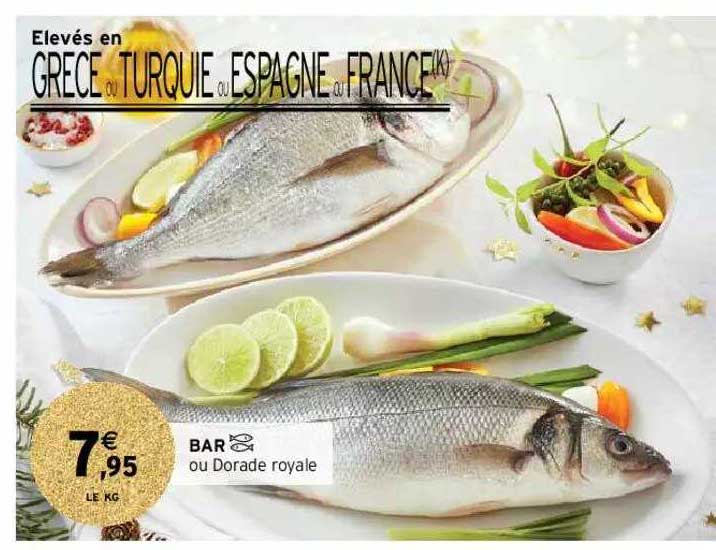 Bar Ou Dorade Royale