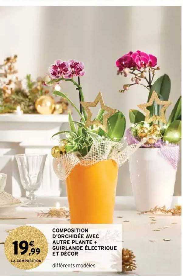 composition d'orchidée avec autre plante + guirlande électrique et décor