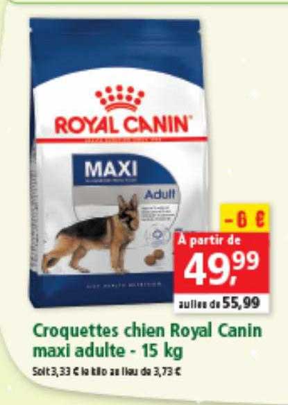Croquettes Chien Royal Canin Maxi Adulte - 15 Kg