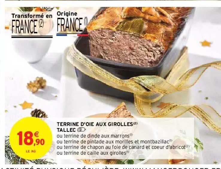 terrine d'oie aux girolles tallec