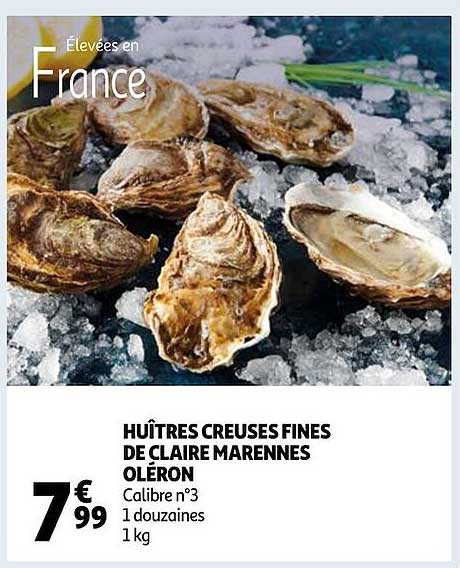 huîtres creusés fines de claire marennes oléron