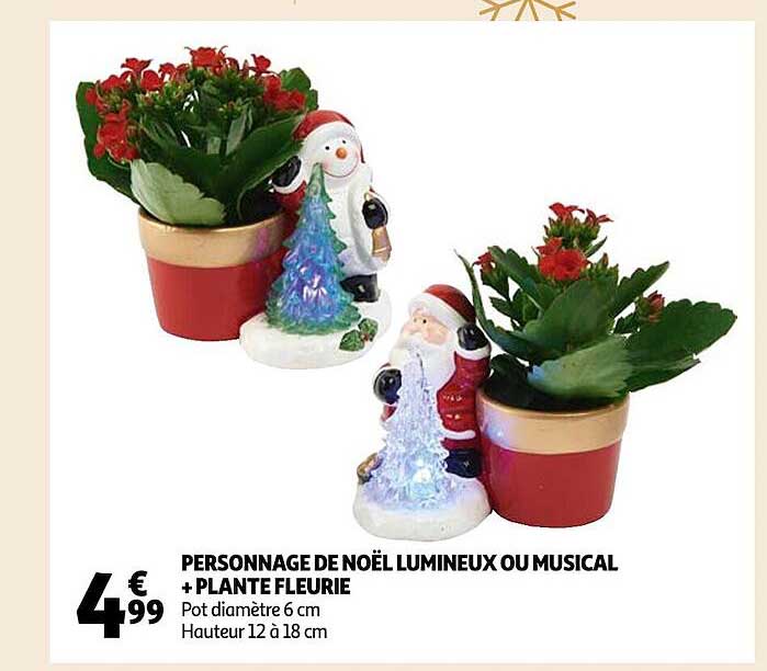 personnage de noël lumineux ou musical + plante fleurie