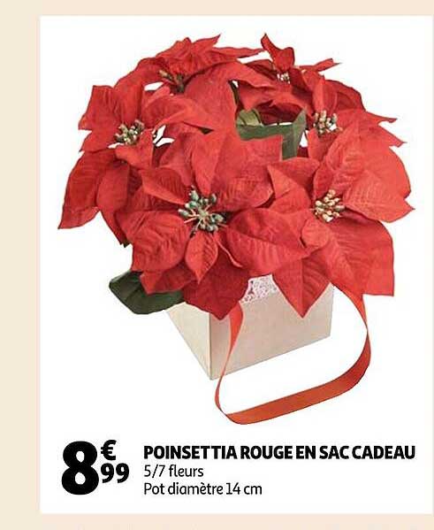 poinsettia rouge en sac cadeau