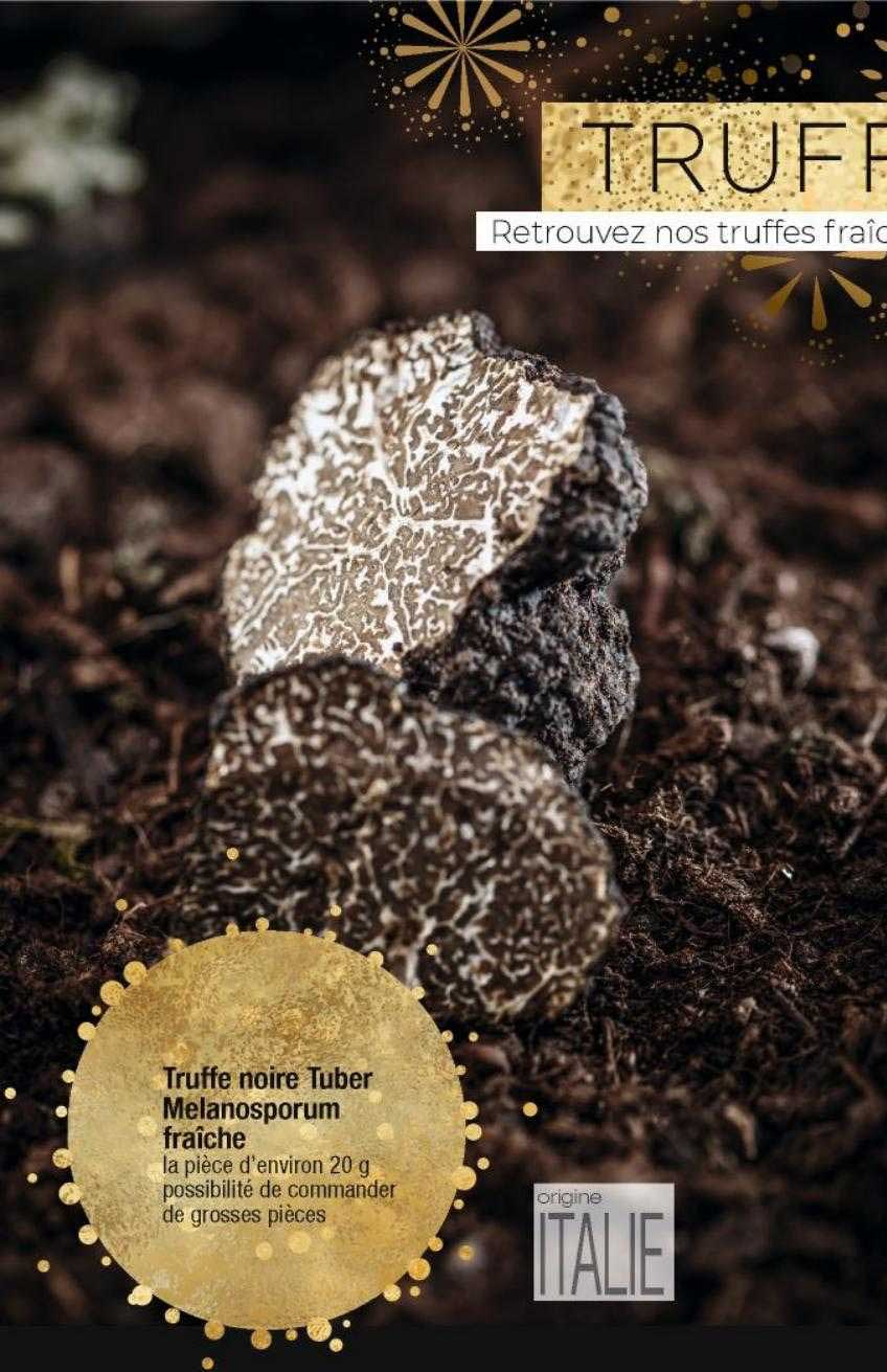 truffe noire tumber melanosporum fraîche