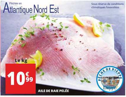 Aile De Raie Pelée