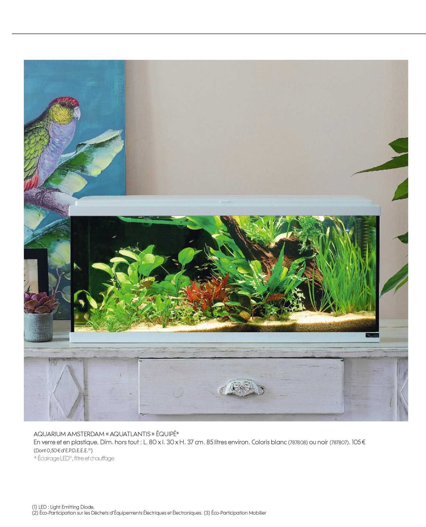 Aquarium Amsterdam Aquatlantis équipé