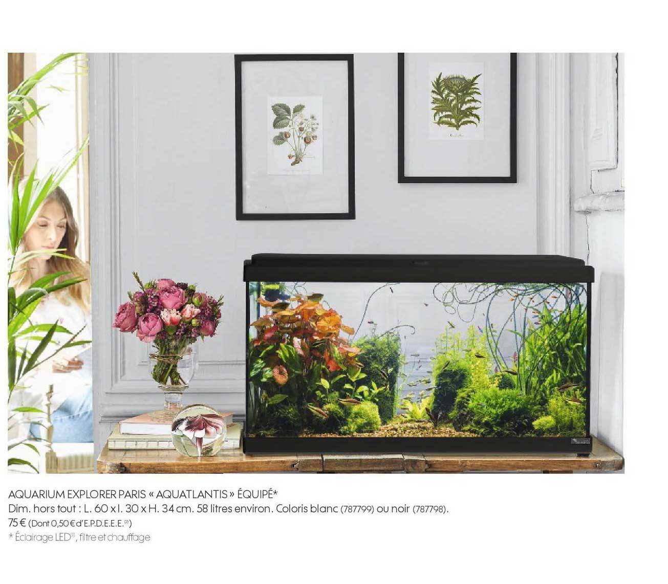 aquarium explorer paris aquatlantis équipé