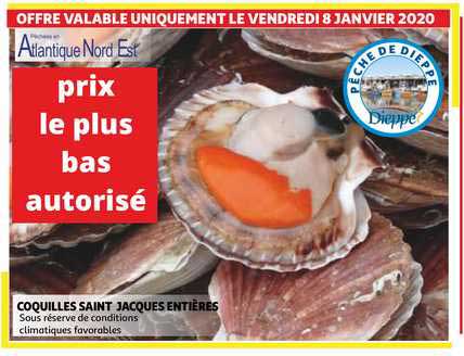 coquilles saint jacques entières