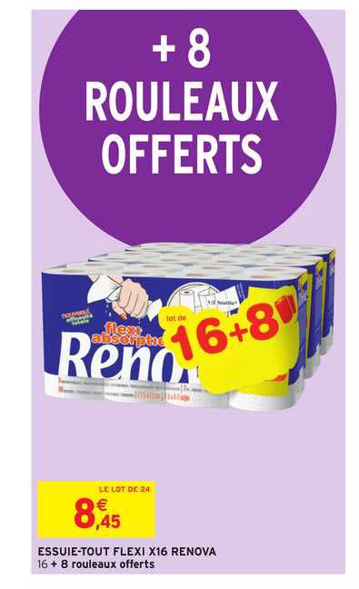 essuie-tout flexi x16 renova