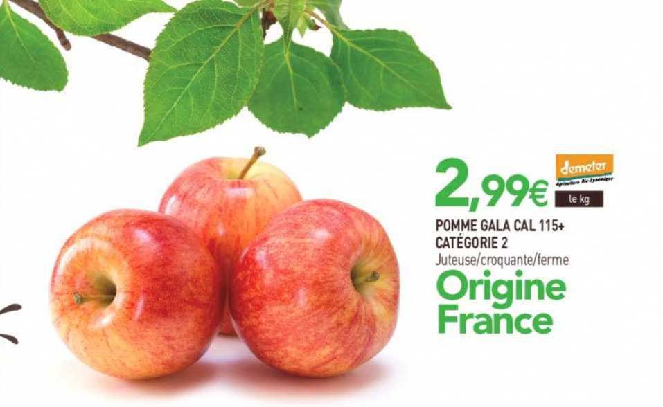 pomme gala cal 115+ catégorie 2