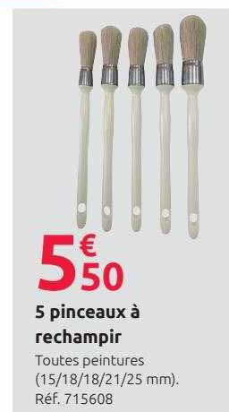 5 pinceaux à rechampir