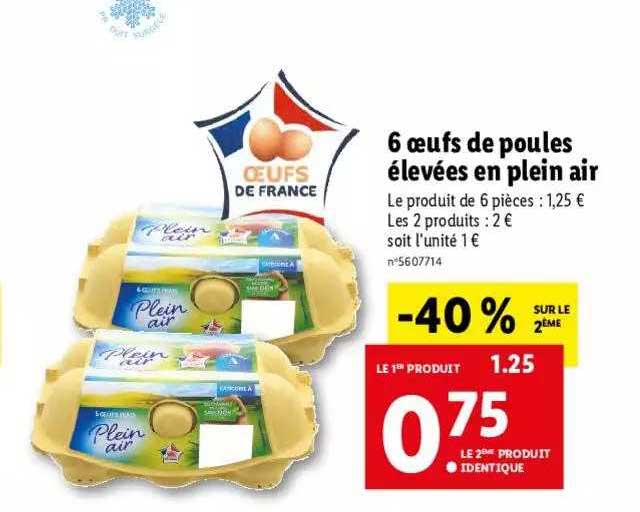 6 oeufs de poules élevées en pleine air
