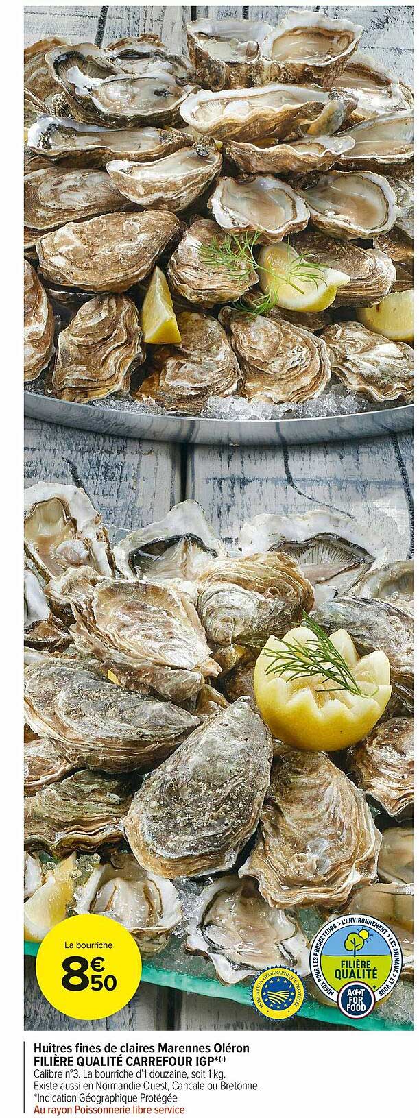 huître fines de claires marennes oléron filière qualité carrefour igp