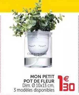 Mon Petit Pot De Fleur