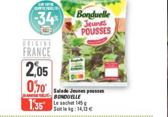 salade jeunes pousses bonduelle