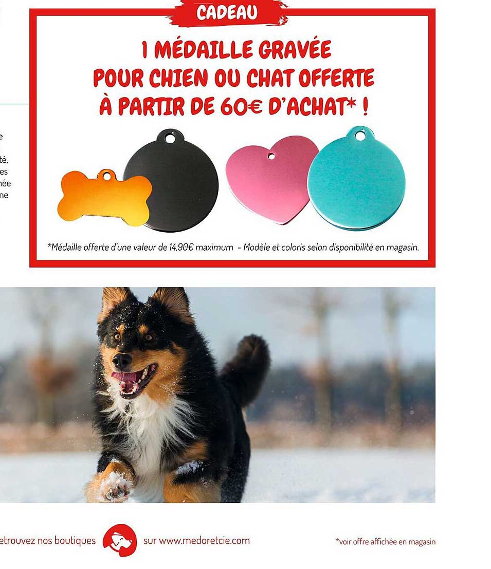 1 médaille gravée pour chien ou chat