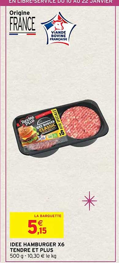 idée hamburger x6 tendre et plus