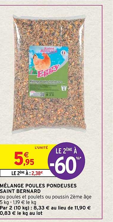 mélange poules pondeuses saint bernard