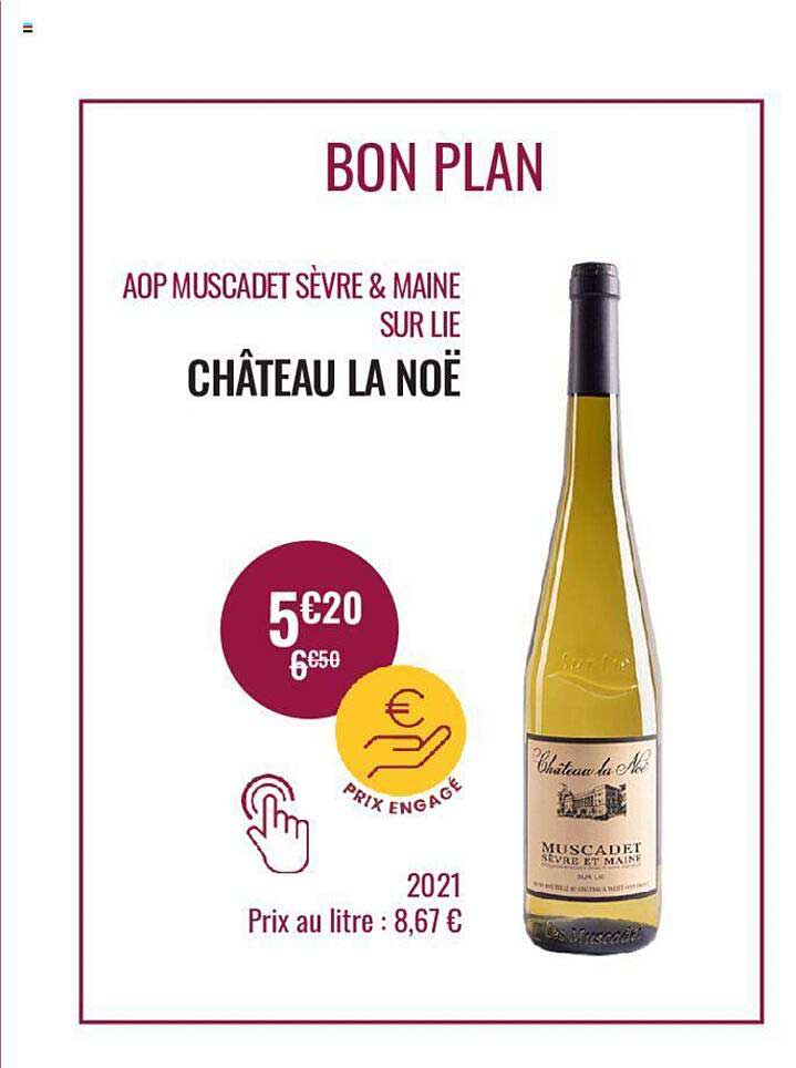 aop muscadet sèvre & maine sur lie château la noë 2021