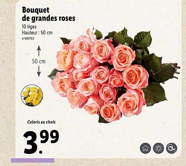 bouquet de grandes roses