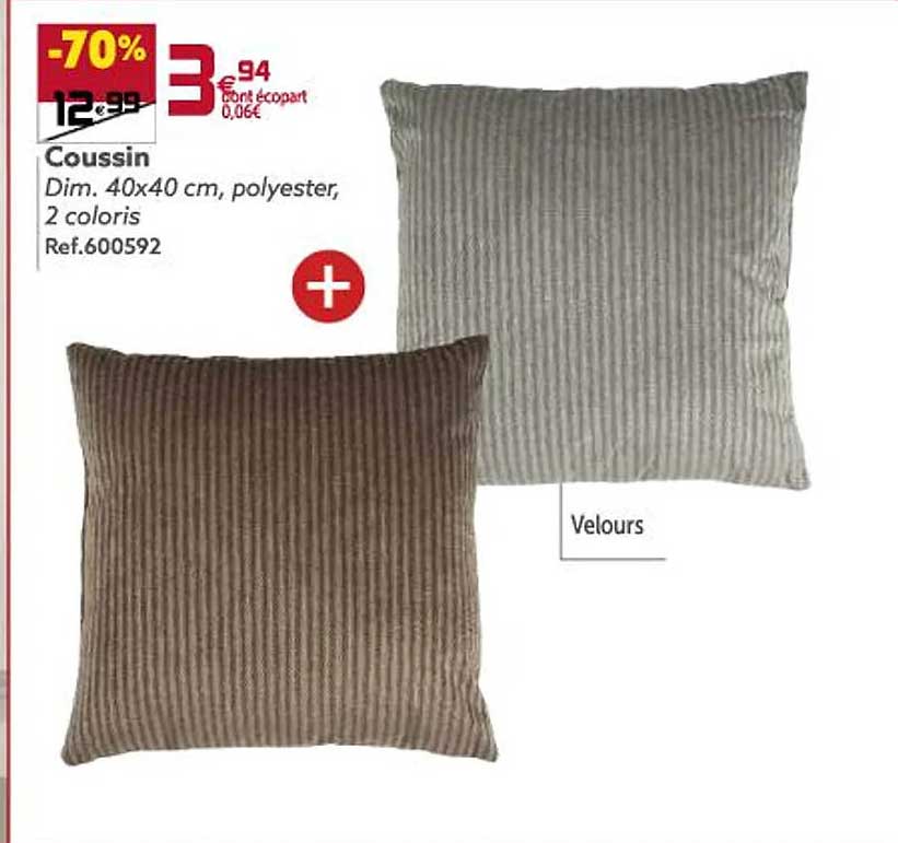 coussin dim 40x40 cm