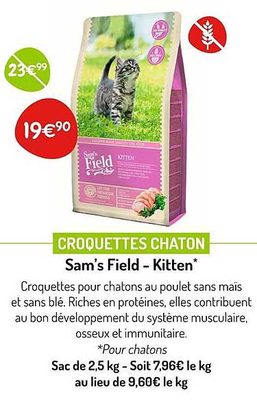 croquette chaton sam's field - kitten