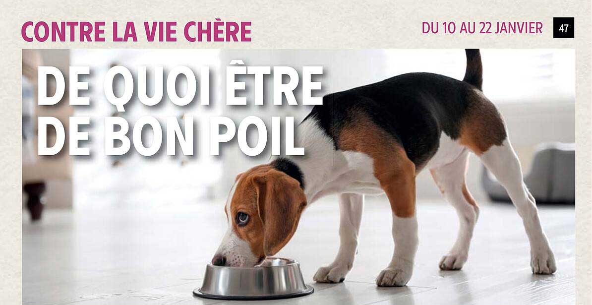 de quoi être de bon poil