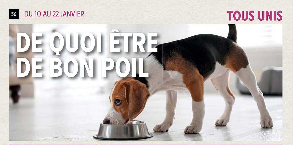 de quoi être de bon poil