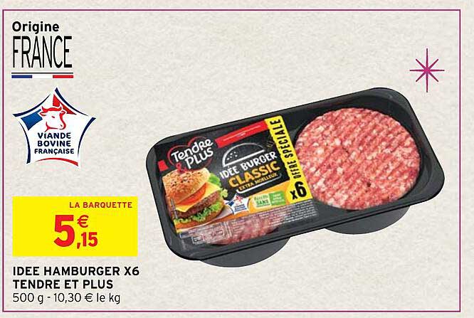 idée hamburger x6 tendre et plus