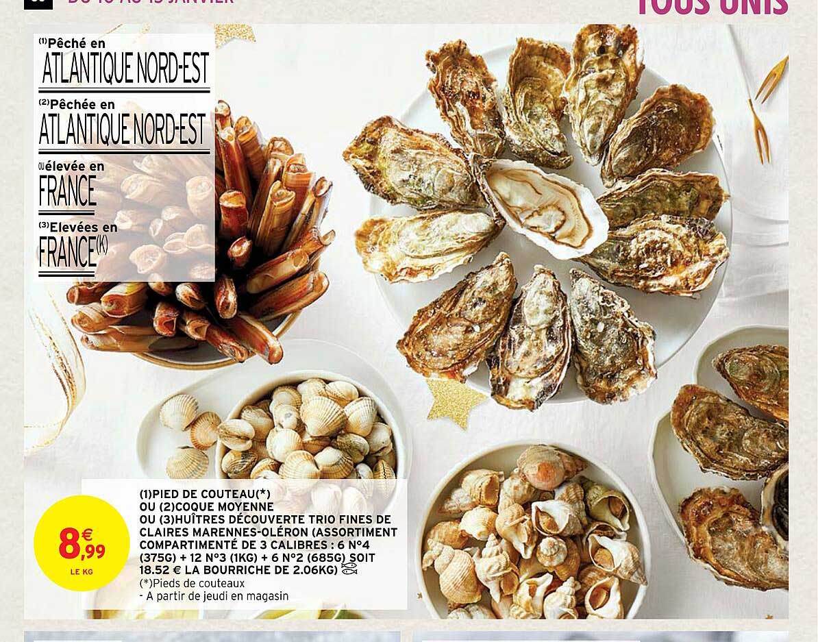 pied de couteau ou coque moyenne ou huîtres découverte trio fines de claires marennes-oléron
