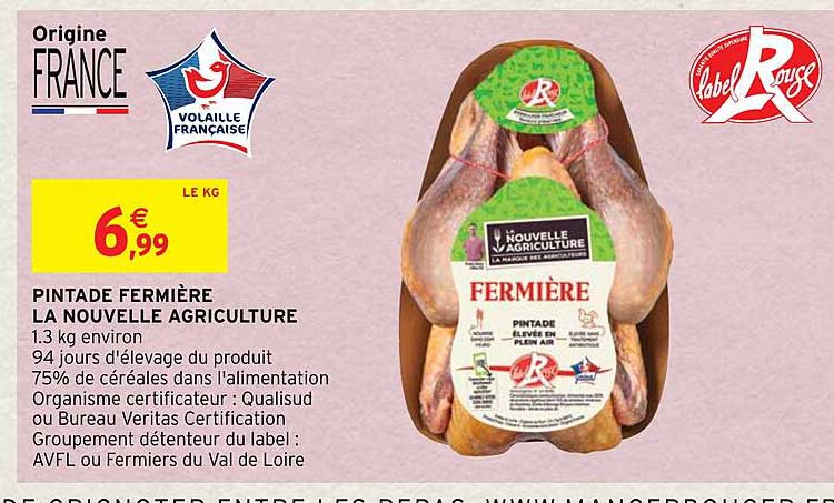 pintade fermière la nouvelle agriculture