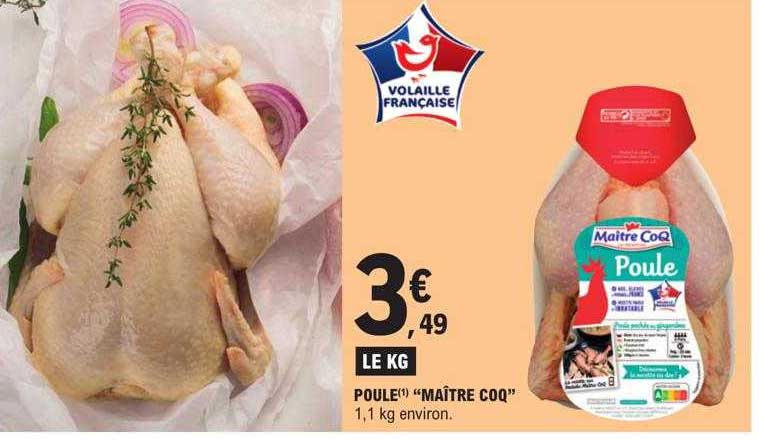 poule "maître coq"