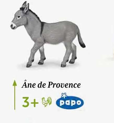âne de provence papo