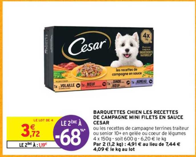 barquettes chien les recettes de campagne mini filets en sauce césar ou les recettes de campagne terrines traiteur ou senior 10+ en gelée ou cœur de légumes