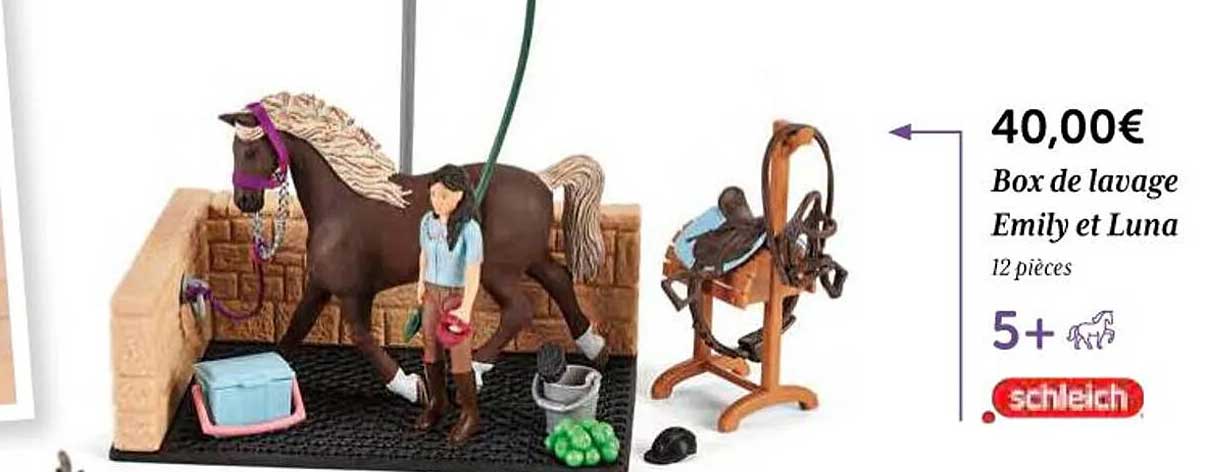 box de lavage émily et luna schleich