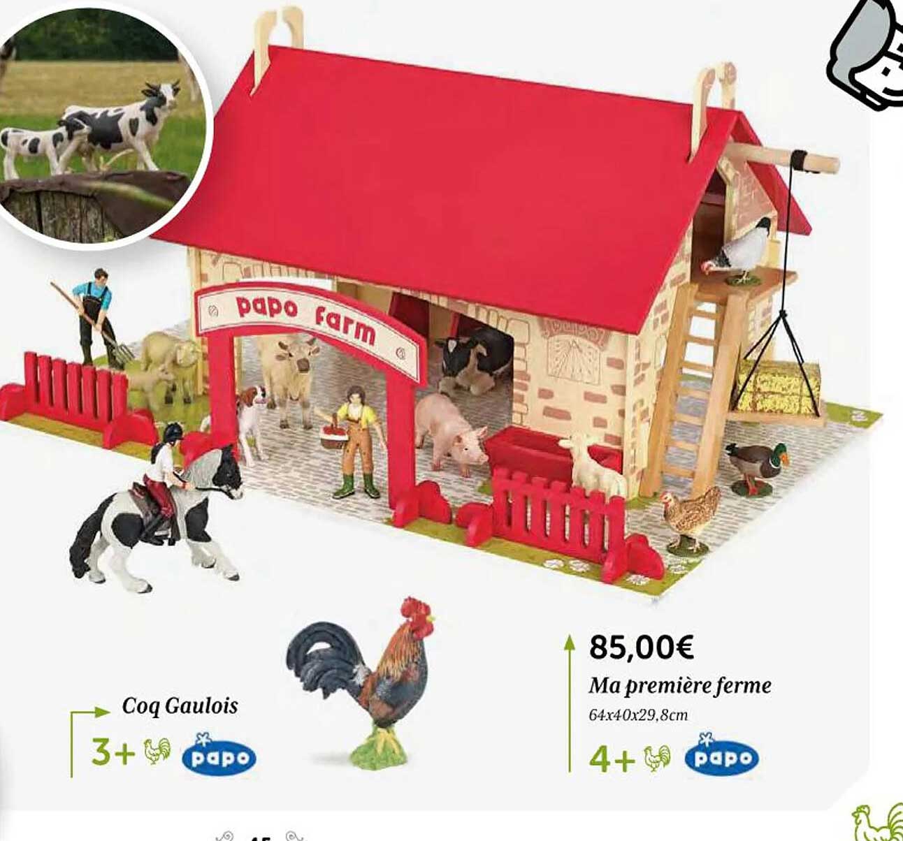 coq gaulois papo, ma première ferme papo