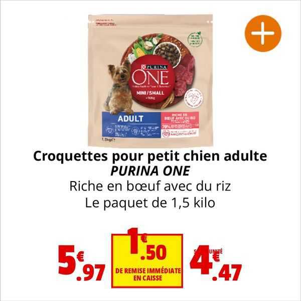 croquettes pour petit chien adulte purina one riche en bœuf avec du riz