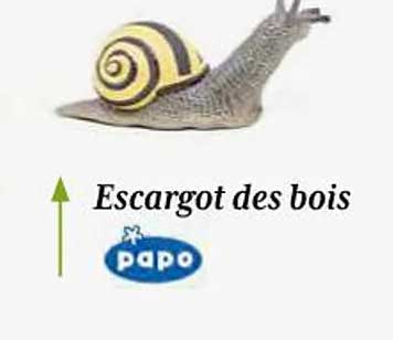 escargot des bois papo