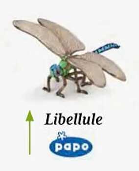 libellule papo