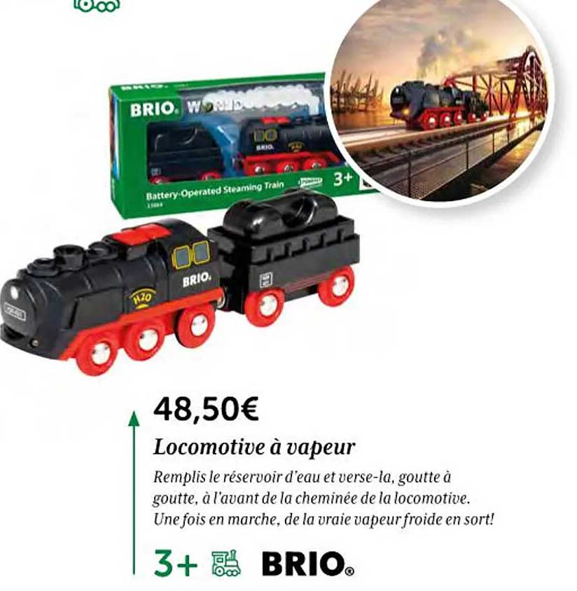 locomotive à vapeur brio